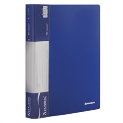 Папка 80 вкладышей BRAUBERG стандарт, синяя, 0,9 мм, 221607 - фото 11050244