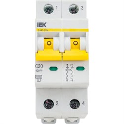 Автоматический выключатель IEK ВА47-60M - фото 13524268