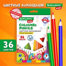 Карандаши цветные BRAUBERG KIDS NEW, 36 цветов, трехгранные, грифель 3 мм, 182003 - фото 13569273