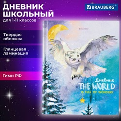 Дневник 1-11 класс 40 л., твердый, BRAUBERG, глянцевая ламинация, "Сова", 106846 - фото 13588414