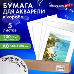 Бумага для акварели А0 (1200х840 мм), 5 листов, среднее зерно, 200 г/м2, ГОЗНАК, BRAUBERG ART CLASSIC, 114487 - фото 13588937