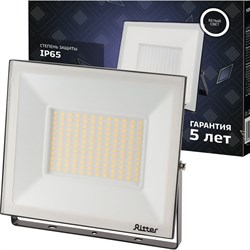 Светодиодный прожектор Ritter PROFI - фото 16909797