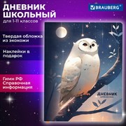 Дневник 1-11 класс 48 л., кожзам (твердая с поролоном), печать, наклейки, BRAUBERG, "Сова", 106947