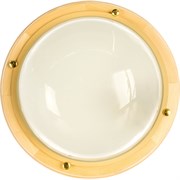 Светильник ЭЛЕТЕХ Терма 1101 НББ 03-100-009