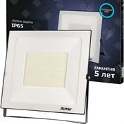 Светодиодный прожектор Ritter PROFI