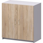 Закрытый шкаф Комфорт-Питер 2550 Бюджет