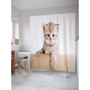 Шторка-занавеска для ванной JoyArty Маленький котенок