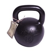 Чугунная гиря Титан СГ000000254