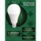 Светодиодная лампа SAFFIT 55201 - фото 16304225