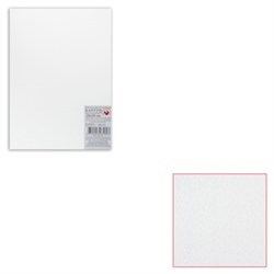 Картон белый грунтованный для живописи, 25х35 см, двусторонний, толщина 2 мм, акриловый грунт - фото 11013117