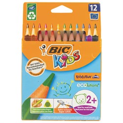 Карандаши цветные утолщенные BIC "Kids Evolution Triangle", 12 цветов, трехгранные, грифель 4 мм, 8297356, 82973511 - фото 11037532