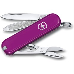 Нож-брелок Victorinox Classic SD Colors Tasty Grape - фото 11849734