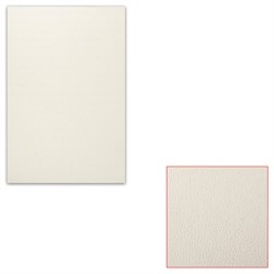 Картон белый грунтованный для масляной живописи, 20х30 см, односторонний, толщина 1,25 мм, масляный грунт - фото 12471535