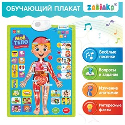 Плакат детский музыкальный обучающий &quot;Изучаем анатомию: Моё тело&quot;, ZABIAKA, 5148294