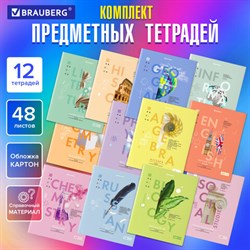 Тетради предметные со справочным материалом, КОМПЛЕКТ 12 ПРЕДМЕТОВ, 48 л., обложка картон, BRAUBERG, "VISION", 404323 - фото 13119128