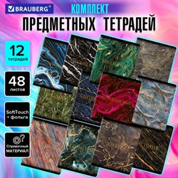 Тетради предметные, КОМПЛЕКТ 12 ПРЕДМЕТОВ, 48 л., SoftTouch, фольга, BRAUBERG, "MARBLE", 404326 - фото 13119167