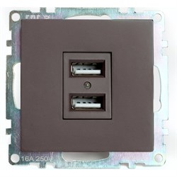 2-местная USB розетка Stekker R GLS10-7115-04 серия Катрин - фото 13290718