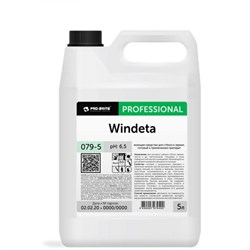 Моющее средство для стекол и зеркал PRO-BRITE WINDETA - фото 13306879