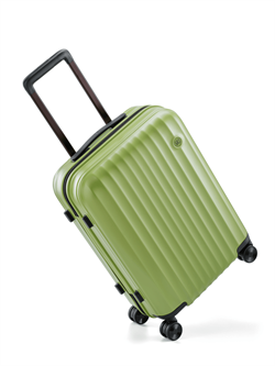 Чемодан NINETYGO Elbe Luggage  20" зеленый - фото 13372725