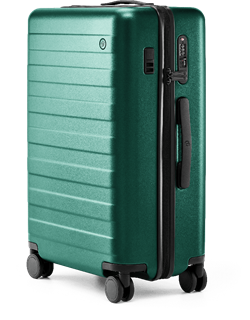 Чемодан NINETYGO Rhine PRO plus Luggage -24'' зеленый - фото 13372840