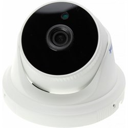 Купольная камера видеонаблюдения PS-link IP305P - фото 13382772