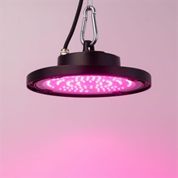 Светодиодная фитопрожектор для растений ЭРА FITO-50W-RB-LED-UFO - фото 13543077