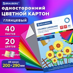 Картон цветной А4 МЕЛОВАННЫЙ ВОЛШЕБНЫЙ, 40 листов, 20 цветов, в папке, BRAUBERG, 200х290 мм, 113545 - фото 13549849