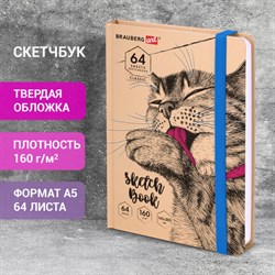 Скетчбук, белая бумага 160 г/м, 145х203 мм, 64 л., резинка, твердый, BRAUBERG ART CLASSIC "Это Кот", 114589 - фото 13549993
