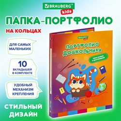 Папка-портфолио дошкольника "КОШЕЧКА", 4 кольца, 20 файлов, 10 вкладышей, 7БЦ матовая, BRAUBERG KIDS, 115237 - фото 13550080