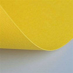 Бумага (картон) для творчества (1 лист) Fabriano Elle Erre А2+ 500х700 мм, 220 г/м2, желтый, 42450707 - фото 13550112