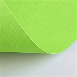 Бумага (картон) для творчества (1 лист) Fabriano Elle Erre А2+ 500х700 мм, 220 г/м2, светло-зеленый, 42450710 - фото 13550121