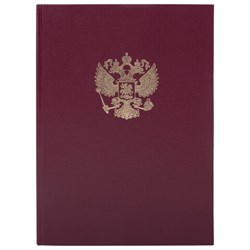 Книга учета 96 л., клетка, твердая, бумвинил, офсет, герб, А4 (200х290 мм), BRAUBERG, бордовая, 130276 - фото 13550717