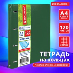 Тетрадь на кольцах БОЛЬШАЯ А4 (240х310 мм), 120 листов, под кожу, клетка, BRAUBERG "Joy", зелёный/светло-зелёный, 404508 - фото 13551212