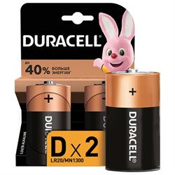 Батарейки КОМПЛЕКТ 2 шт., DURACELL Basic ОРИГИНАЛ, D (LR20, 13А), алкалиновые, блистер, MN 1300D LR20 - фото 13562632