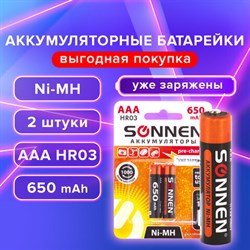 Батарейки аккумуляторные Ni-Mh мизинчиковые КОМПЛЕКТ 2 шт., AAA (HR03) 650 mAh, SONNEN, 454236 - фото 13562745