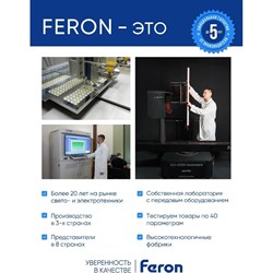 Светодиодный прожектор FERON LL-883 - фото 13583037