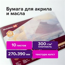 Альбом для акрила и масла, 300 г/м2, 270х390 мм, 10 листов, склейка, тиснение "холст", BRAUBERG ART PREMIERE, 113268 - фото 13588757