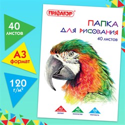 Папка для рисования БОЛЬШОГО ФОРМАТА А3, 40 л., 120 г/м2, ПИФАГОР, 297х420 мм, "Попугай", 129219 - фото 13589311