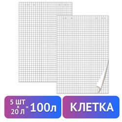 Блокноты для флипчарта ПЛОТНЫЕ 80 г/м2, BRAUBERG, 67,5х98 см, КОМПЛЕКТ 5 шт., 20 л., клетка, 124097 - фото 13594820