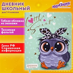 Дневник 1-4 класс 48 л., кожзам (гибкая), печать, фольга, ЮНЛАНДИЯ, "Совушка", 106158 - фото 13607299