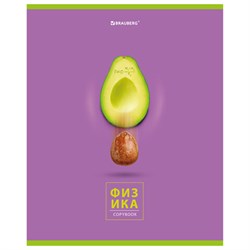 Тетрадь предметная &quot;AVOCADO&quot; 48 л., глянцевый лак, ФИЗИКА, клетка, BRAUBERG, 404283