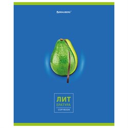 Тетрадь предметная "AVOCADO" 48 л., глянцевый лак, ЛИТЕРАТУРА, линия, подсказ, BRAUBERG, 404281 - фото 13681189