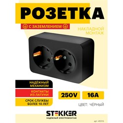 2-местная розетка Stekker 49316 - фото 13683424