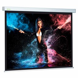 Экран Cactus Wallscreen CS-PSW-180x180, 180x180 см, 1:1, настенно-потолочный, белый - фото 13695033