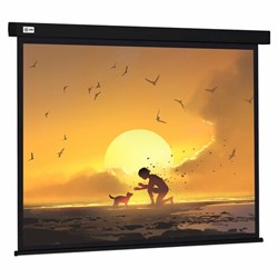 Экран Cactus Wallscreen CS-PSW-150X150-BK, 150x150 см, 1:1, настенно-потолочный, черный, PSW-150x150-BK - фото 13695039