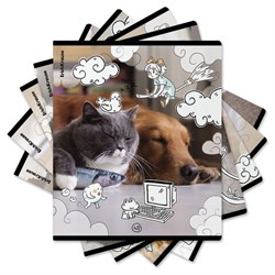 Тетрадь обложка пластик, А5, 48 л., скоба, клетка, ErichKrause, "Dream Cat" (микс в спайке), 54161 - фото 13705800