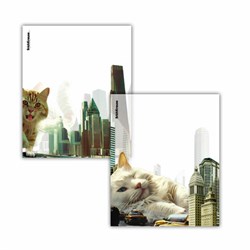 Обложки ПП для тетрадей и дневников ERICH KRAUSE "Big City Cats", КОМПЛЕКТ 12 шт., 80 мкм, 212х347 мм, 63508 - фото 13714884