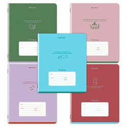 Тетрадь 24 л. BRAUBERG клетка, обложка картон, PHRASES, 107304 - фото 13742858