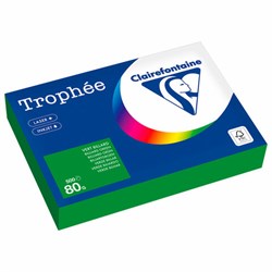 Бумага цветная CLAIREFONTAINE, А4, 80 г/м2, 500 л., интенсив, травяной, Франция, 1991C, 1991PC - фото 13743172