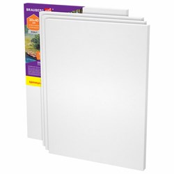 Холсты на подрамнике в коробе НАБОР 4 шт. (30х40 см), 280 г/м2, грунт, 100% хлопок, BRAUBERG ART DEBUT, 192511 - фото 13743808